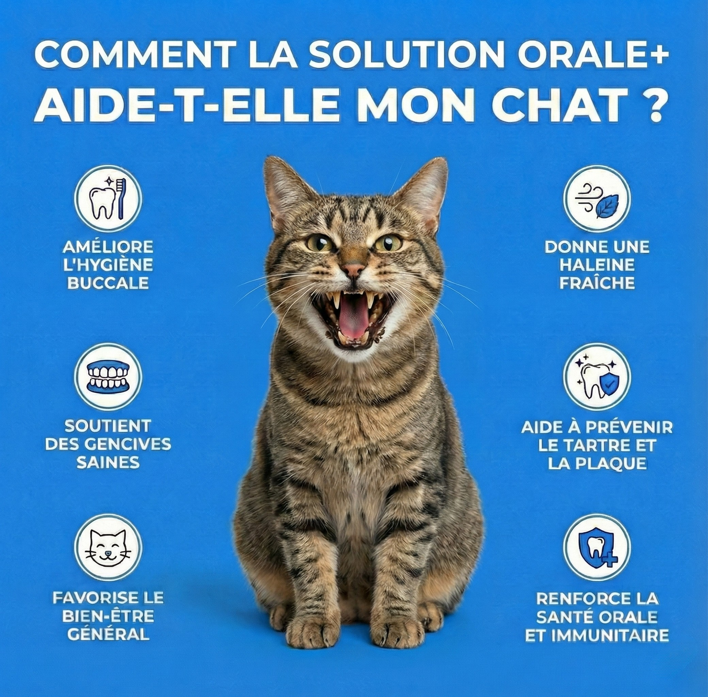 Orale+ - Solution Chat Hygiène Buccale