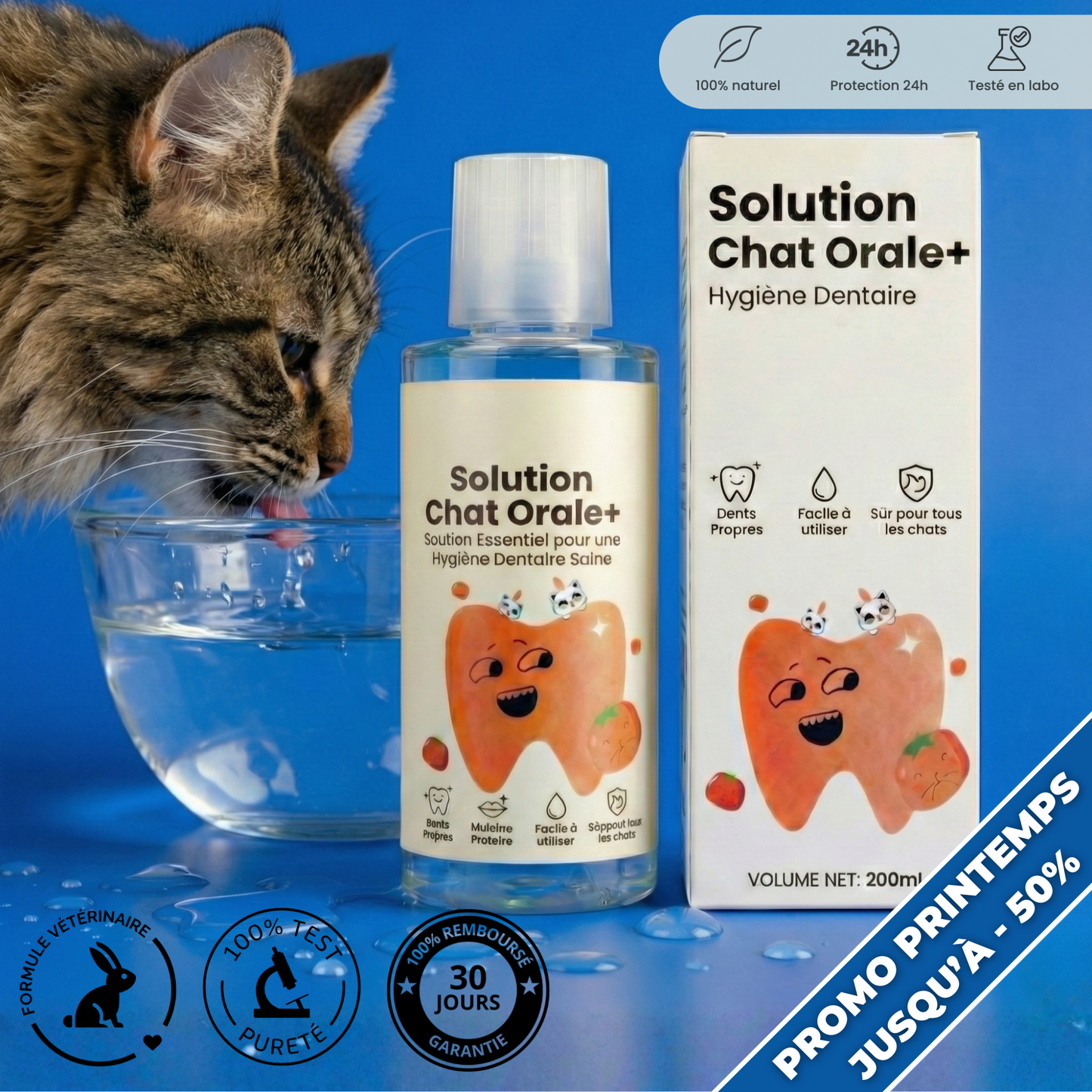 Orale+ - Solution Chat Hygiène Buccale