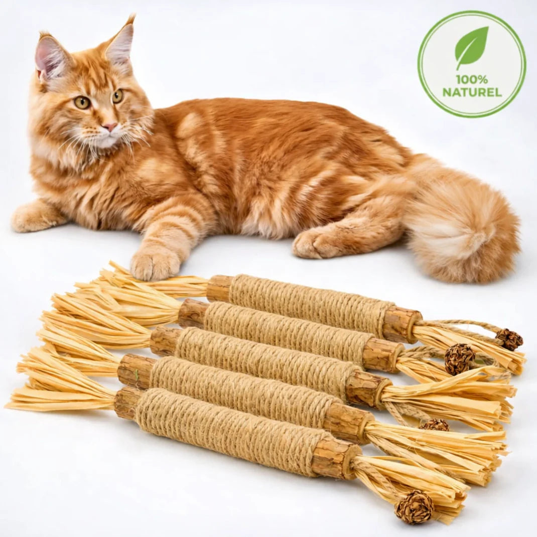 3x Bâtonnets à mâcher pour soins dentaires