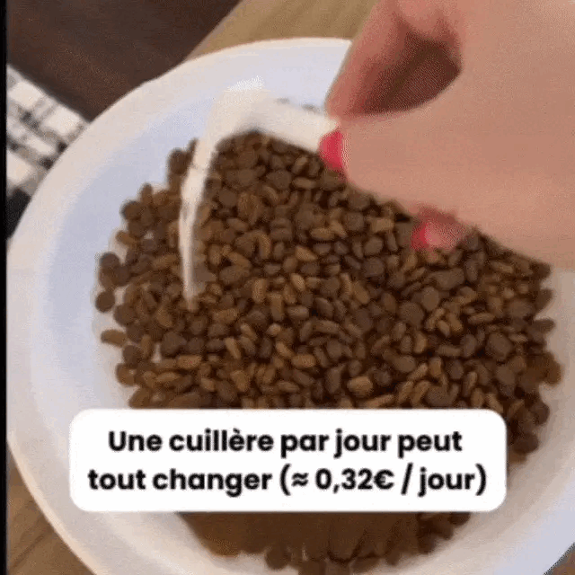 PureTaurine+ - N°1 Recommandé par les Vétérinaires