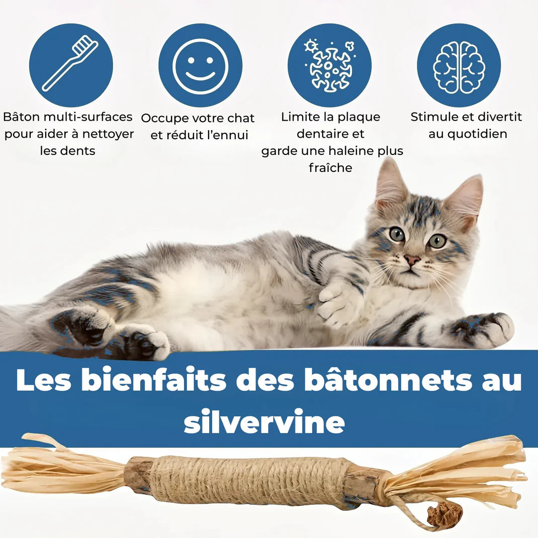 3x Bâtonnets à mâcher pour soins dentaires