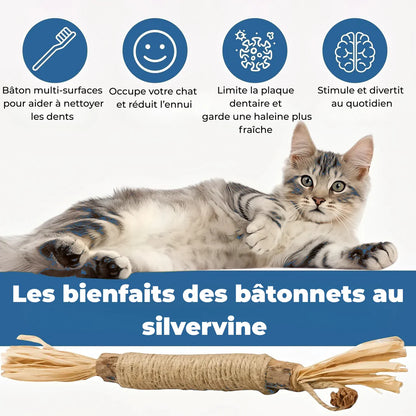 3x Bâtonnets à mâcher pour soins dentaires