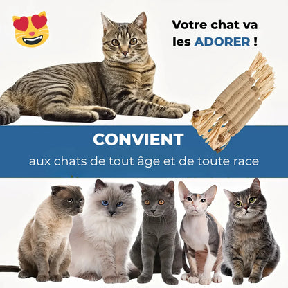 3x Bâtonnets à mâcher pour soins dentaires